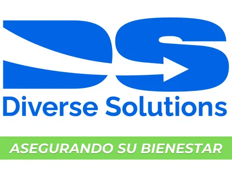 Diverse Solutions