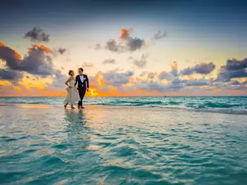 Rainbow Mobile Notary And Nuptials Wedding Officiants Network